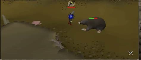 Giant Mole OSRS Guide [2022]: Go The Mole Nine Yards! - Rune Fanatics