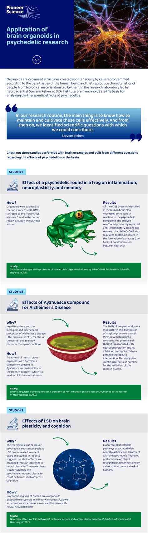 Application of brain organoids in psychedelic research - Pioneer Science