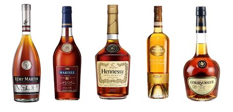 Interesting facts about cognac | Just Fun Facts