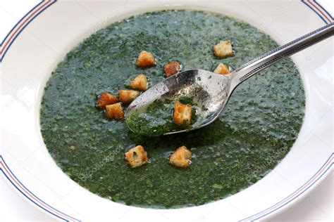 Molokhia soup, egyptian spinach soup Stock Photo by ©asimojet 11171795