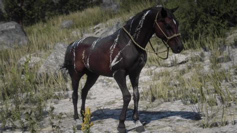 Red Dead Redemption 2 Wild Horse Breeds Locations Guide - RDR2.org