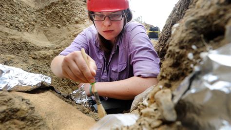 Mystery of rare mammoth fossil discovery on Channel islands continues