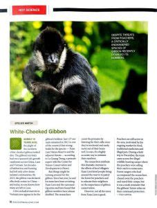 Gibbon Conservation highlight – TRUNG TÂM BẢO TỒN THIÊN NHIÊN VÀ PHÁT TRIỂN