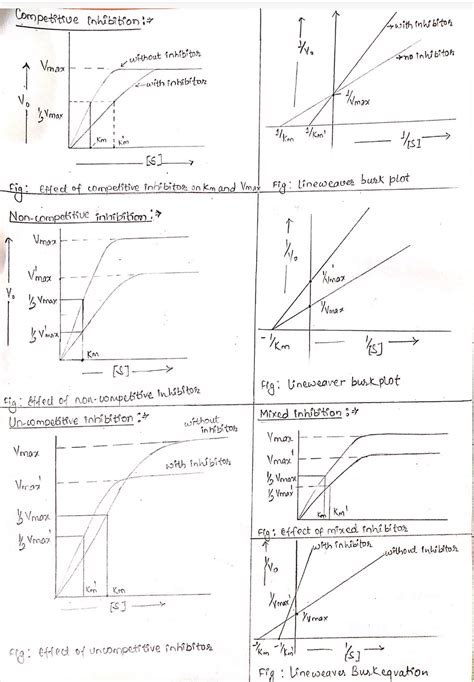 Enzyme inhibition and types of enzyme inhibitors - Online Biology Notes