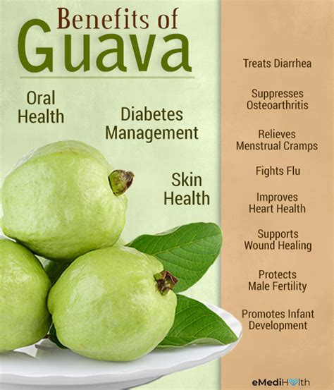 Guava: Nutritional Value and Health Benefits - eMediHealth