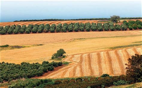 Accessing Israel's unique agricultural practices - Times of India