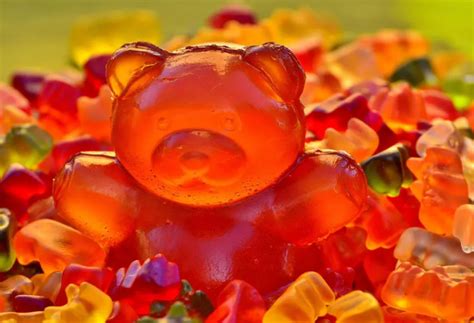 Where to get gummy bear molds？ - gummybearmuseum.comgummybearmuseum.com