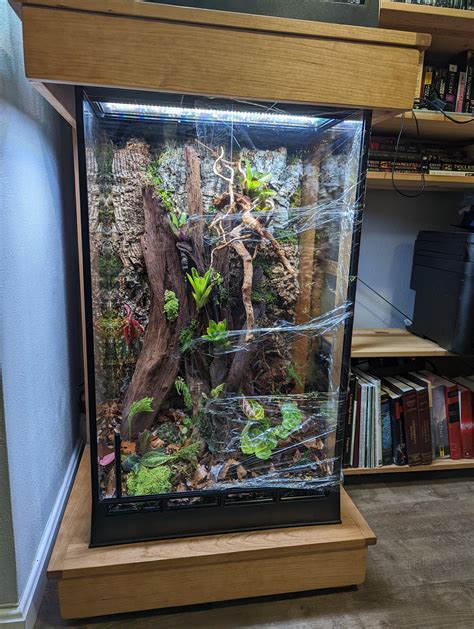 Dart Frog Vivarium Journal | Page 4 | The Planted Tank Forum