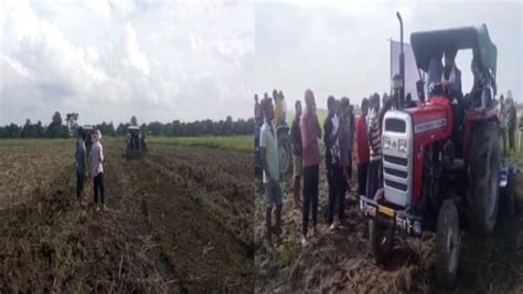 Assam agricultural department in Bokakhat provides groundnut seeds ...