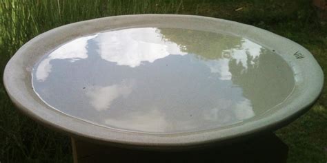 Ceramic Bird Bath Bowl | Birdcage Design Ideas