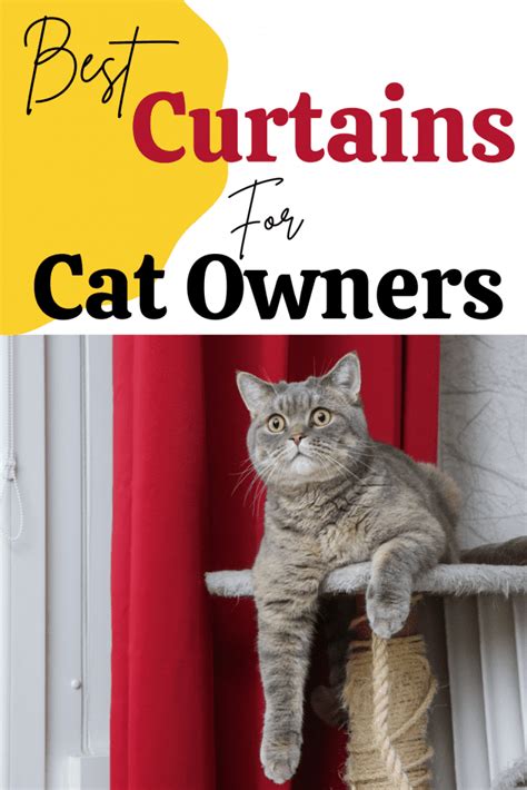 Cat Proof Curtains - Best Tips What To Look For