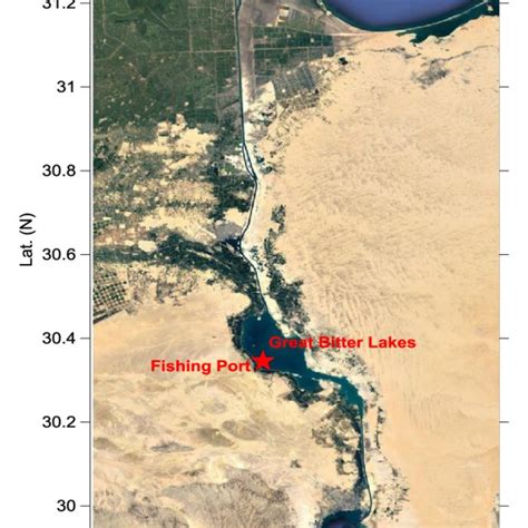 Belonidae samples from Bitter lakes at the Suez Canal. | Download ...