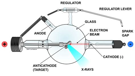 Crookes X-ray Tube Parts Clip Art Image - ClipSafari