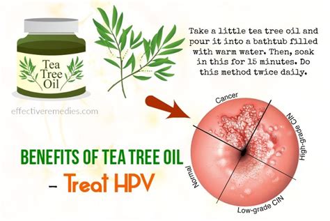 75 Health & Beauty Benefits Of Tea Tree Oil – Uses & Side Effects