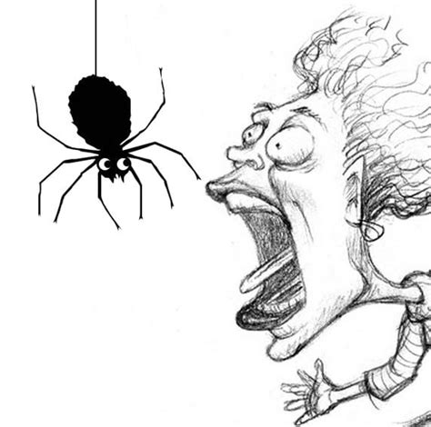 Fear of spiders is in our genes – we are programmed that way - Market ...