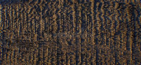 Rotten wood texture stock image. Image of natural, rough - 216096783