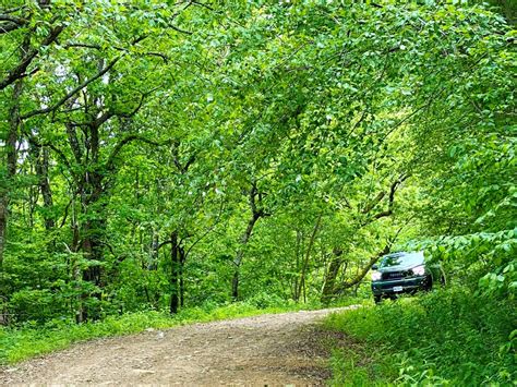 Take the Whole Family Off-Road in a 2020 Toyota Sequoia TRD Pro