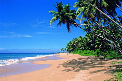 Goa Beaches Wonderful Tourists Place In India | Found The World