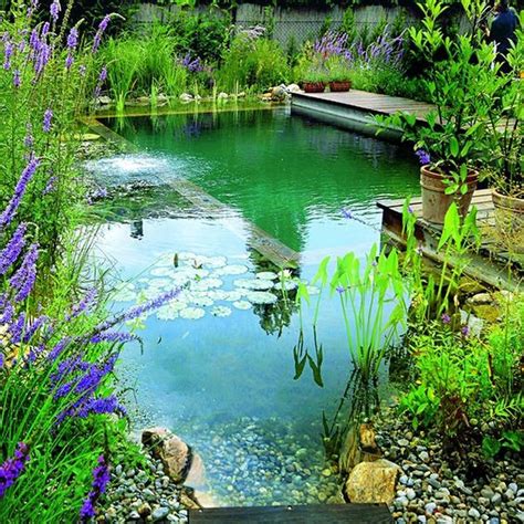 Amazing Backyard Swimming Ponds Ideas 16 | Natural swimming ponds ...