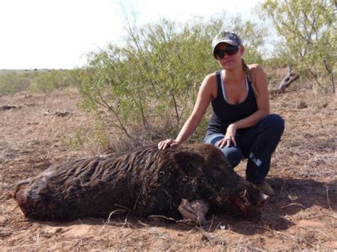 Hog Hunting in Texas {{A Beginner's Guide}}