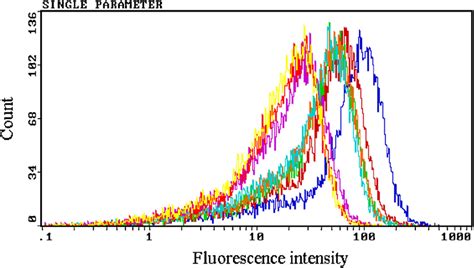 The changes in the steady state level of the fluorescence of rhodamine ...