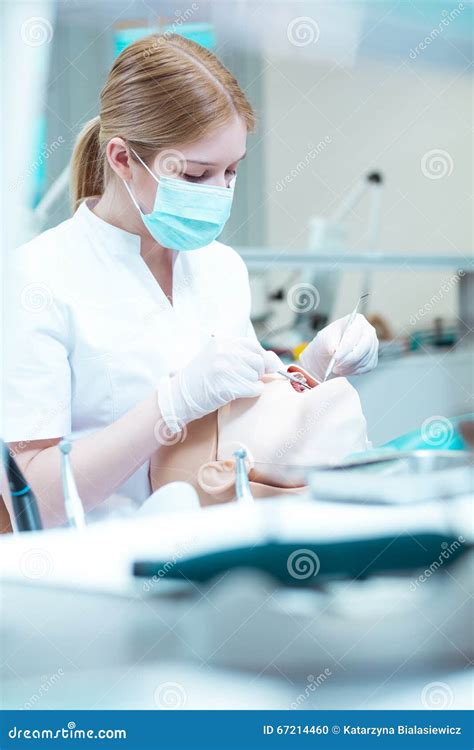 Dentistry is my future stock photo. Image of manikin - 67214460