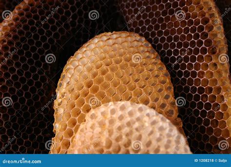 Bee Hive Royalty Free Stock Photos - Image: 1208218