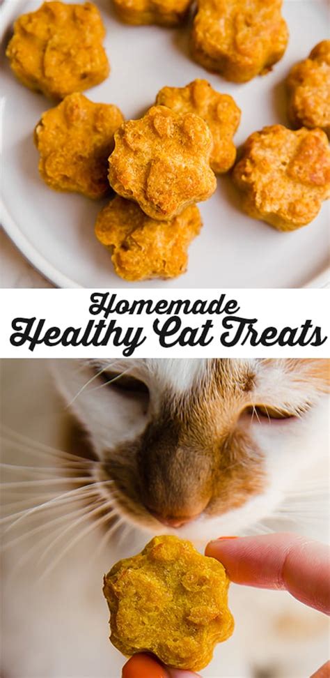 Healthy Homemade Pumpkin Cat Treats - Unbound Wellness