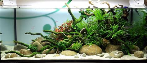 River rock aquascape ideas