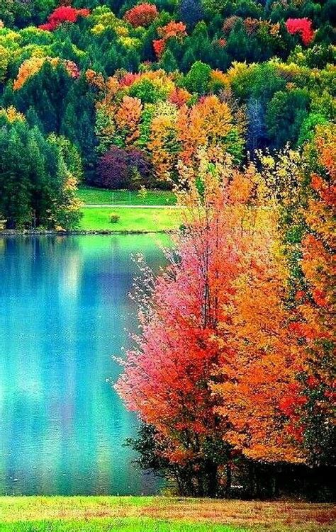 Sign in. Autumn landscape, Beautiful nature , Beautiful landscapes ...