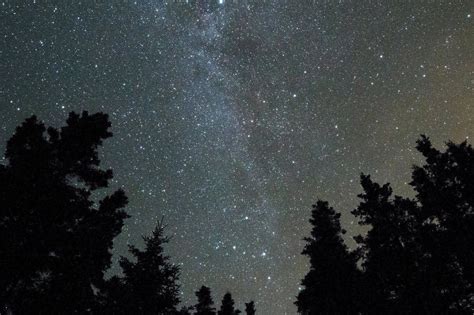 Free picture: night, sky, dark, forest, stars