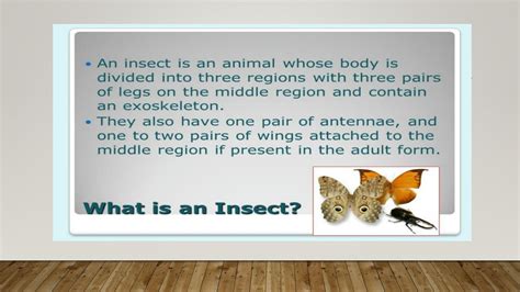 SOLUTION: Anatomy of arthropods - Studypool