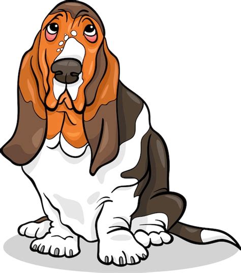 Premium Vector | Basset hound dog cartoon illustration