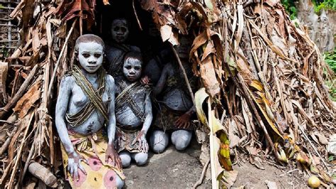 Children of the forest: Mbuti tribe, world's shortest people