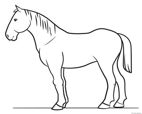 Horse drawing – simple – Line art illustrations