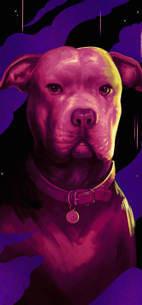 1242x2668 Dog In John Wick Chapter 3 Parabellum 4k Iphone XS MAX ,HD 4k ...