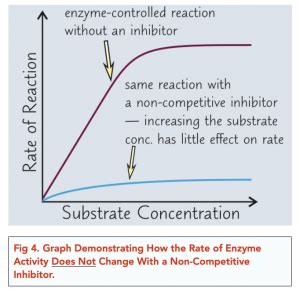 Enzymes: Inhibitors (A-level Biology) - Study Mind