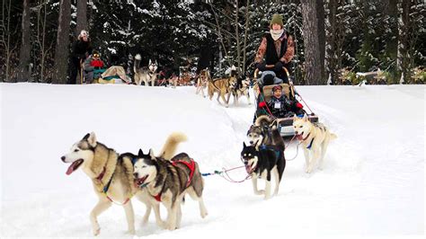 Dog Sledding in Ontario: 10 Awesome Places to Experience the Winter ...