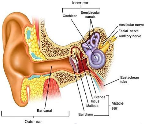 This Vertigo is Making My Head Spin! - Pain Relief Chiropractic