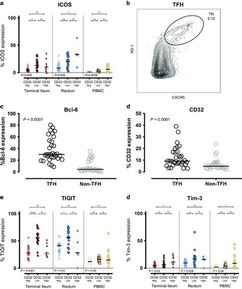 TFH marker expression on CD32-, CD32 low & CD32 high CD4 T cells across ...