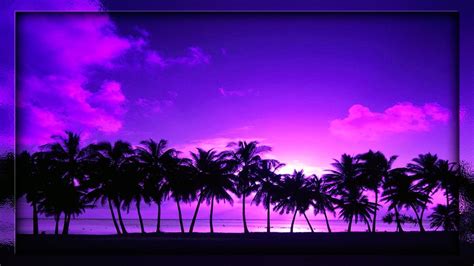 Purple Palm Trees HD Wallpapers - Wallpaper Cave