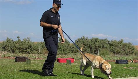 Strong & Courageous Police Dog Names - My Dog's Name