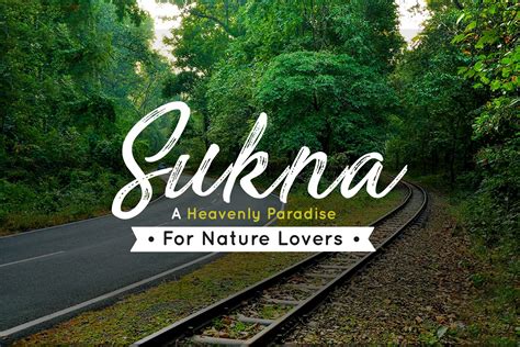 Sukna Forest Siliguri - A Heavenly Paradise for Nature Lovers