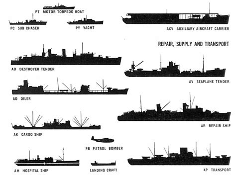 Anatomy Of A Pirate Ship - Anatomical Charts & Posters