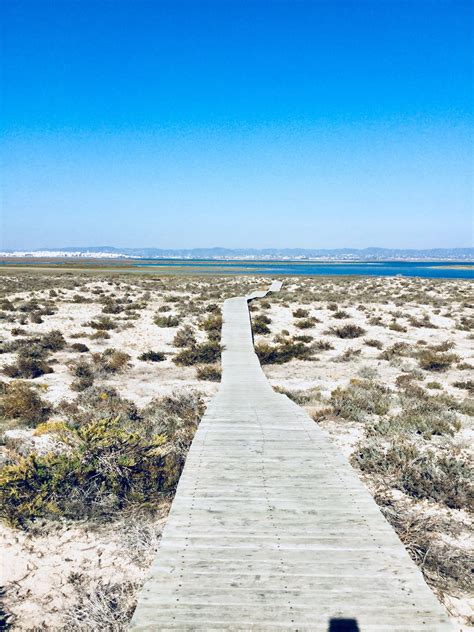 ilha Deserta | Ilha deserta, Ilha, Deserto