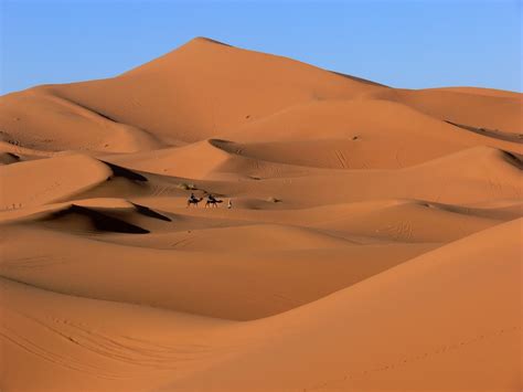 Sand Dunes of Sahara