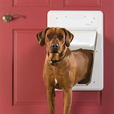 Best Smart Dog Door 2021 - Electronic, Magnetic, and Wi-Fi Doors!