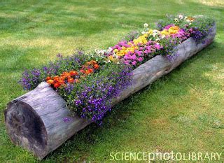 Grannies Kitchen: Tree Log Planter