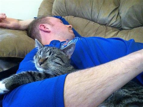 Cuddling With Your Cat When You Are Sick May Be Just What You Need ...