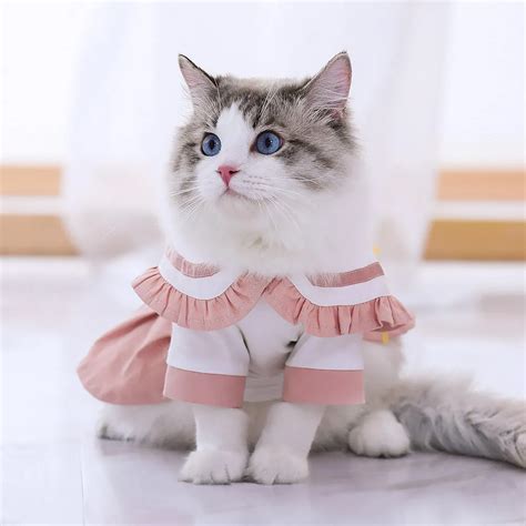 Hoopet Navy Style Cuate Cat Clothes Girl Small Dog Skirt Pet Clothing ...